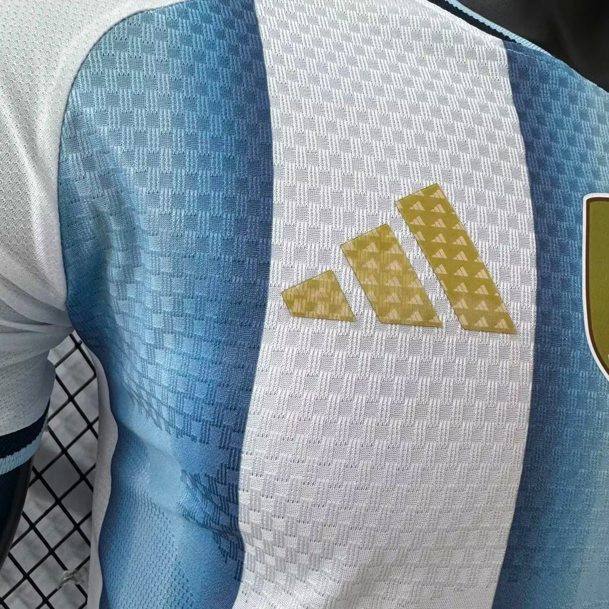 Foto 7